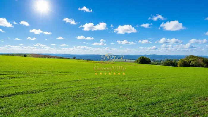 Porto Amazonas, 90 Alqueires, 217 Hectares, Plantando 70 Alqueires