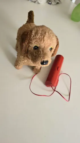 Pipi o cachorro da estrela de 70