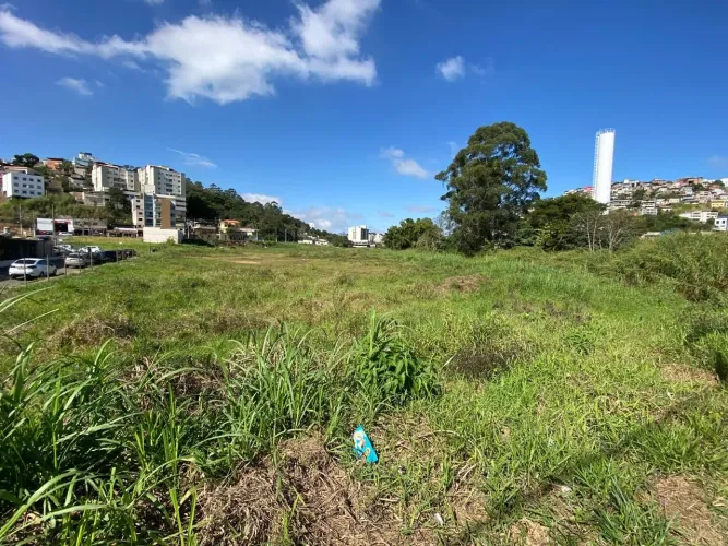 Lote / Terreno - São Pedro