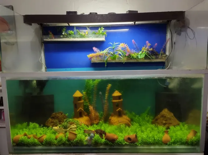 Aquário com cascata de 430 litros muito lindo