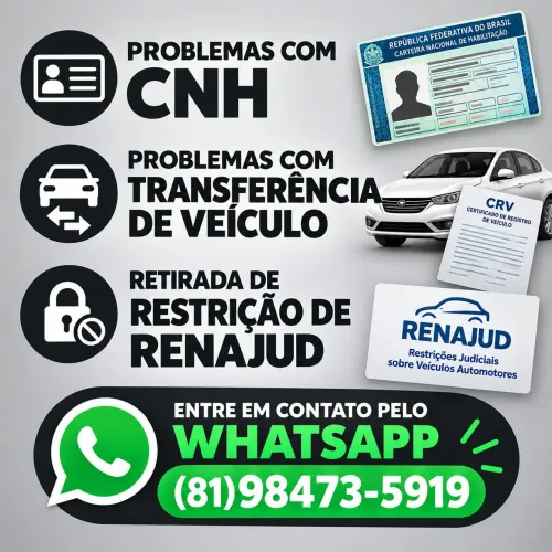 DESPACHANTE DETRAN - 81