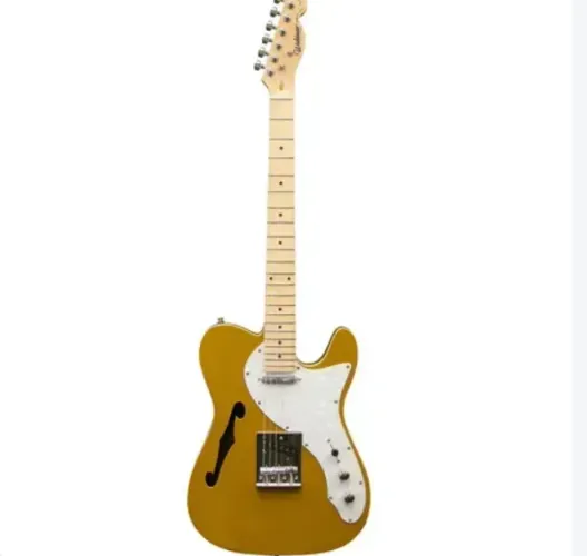 Guitarra Waldman GTE-300 | Tele | Semi-Hollow | CP