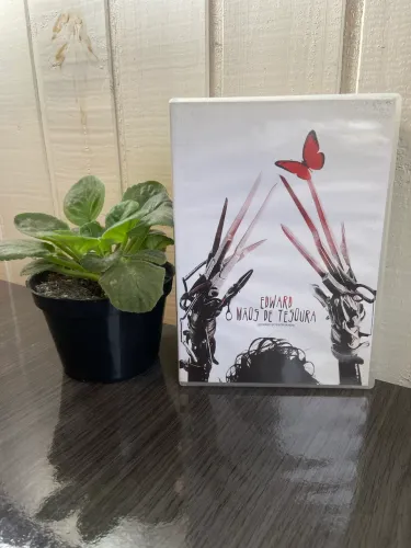 DVD Edward Mãos de Tesoura