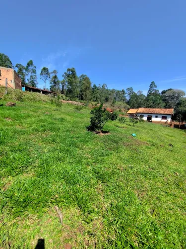 Sitio assentamento 5 alqueires