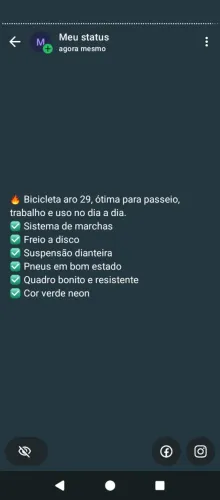 Bicicleta aro 29