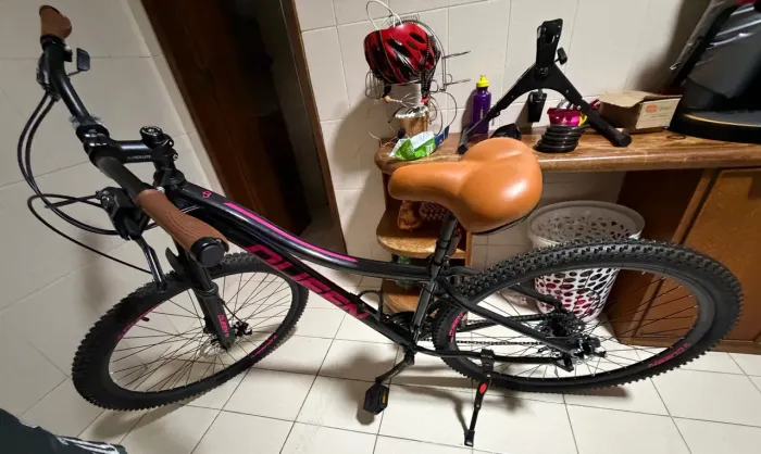 Bicicleta feminina aro 29 marca QUEEN