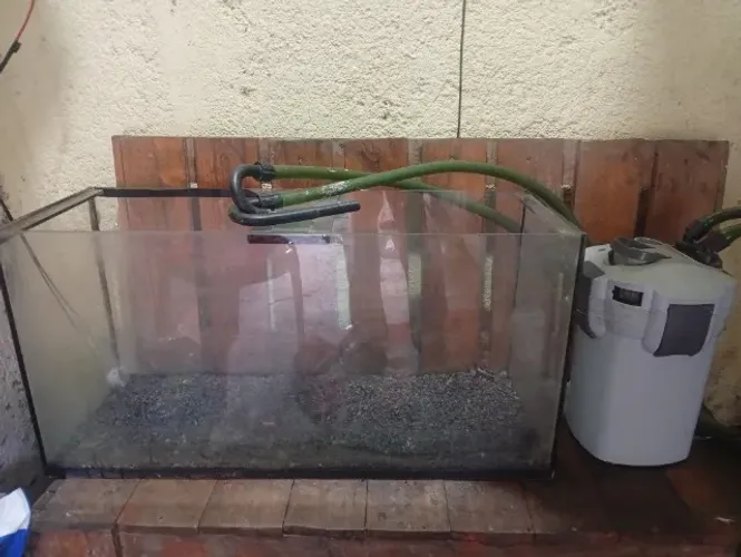 Aquário 80x40x30 