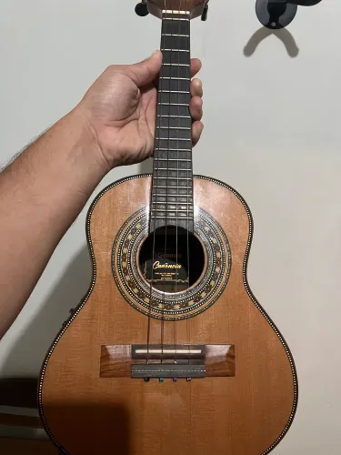 Cavaquinho Eletroacustico Giannini Raiz 