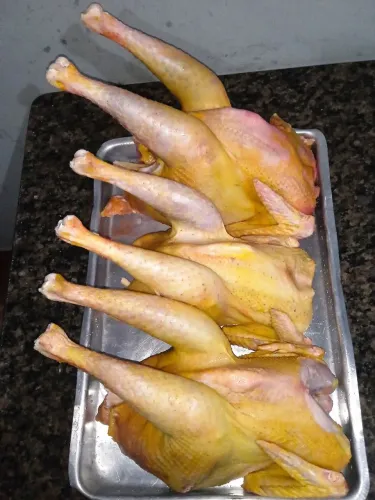 Frangos caipira da preferência do cliente, vivo ou abatido
