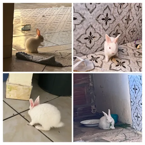 Doação
