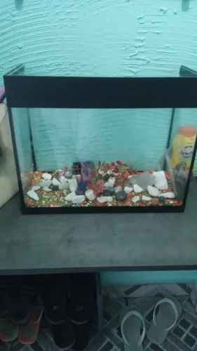 Aquario