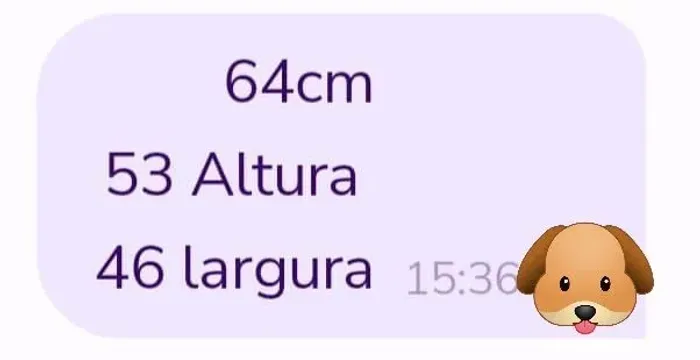 Casinha de cachorro ?