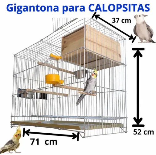Gaiola Chocadeira