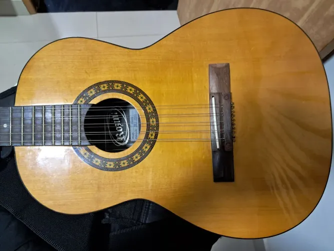 Viola caipira clássica marca rozini seminovo