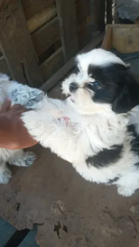 Vende se !!!!!!