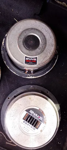 Par de faltantes 10 polegadas snake 400 RMS top