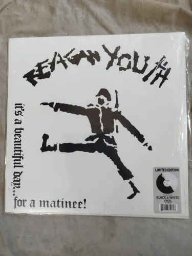 Vinil LP Reagan Youth it's a beautiful day...for a matinee ! Hardcore punk oldschool 