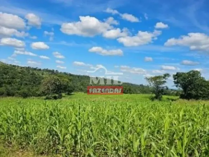 Fazenda 85,3 Alqueires (413,3 hectares) Itapirapuã - GO