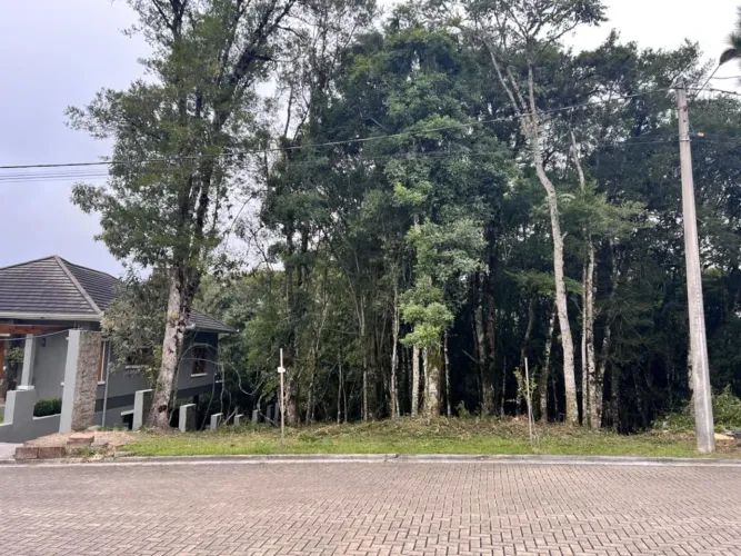 Terreno - Bairro Carniel
