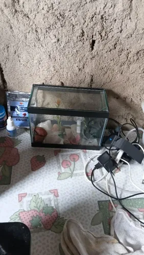 Akuario conpreto 90 reais pra vender logo
