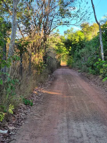 Excelente Lote - Próximo Rodoviária - TO - 050