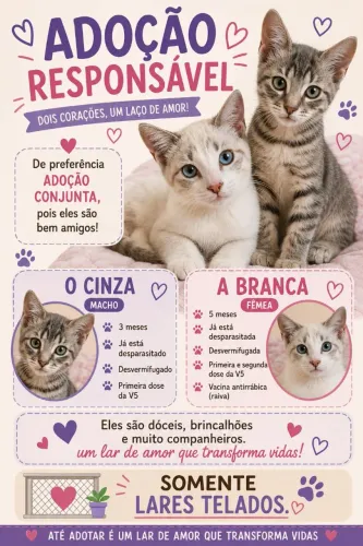 Gatinhos Fofos