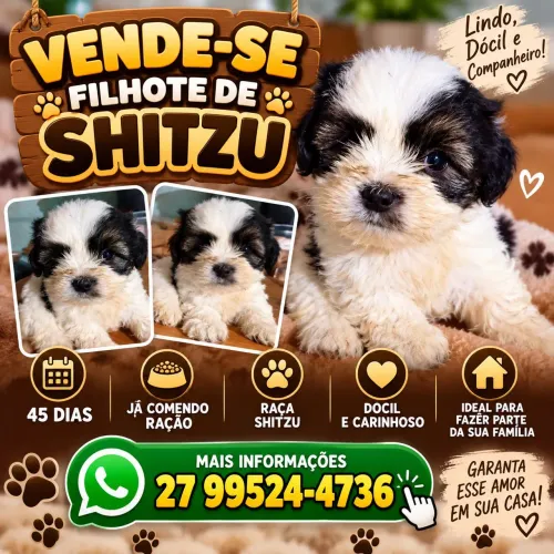 Vende-se 