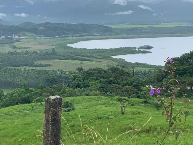 Fazenda/Sítio/Chácara para venda com 20000 metros quadrados