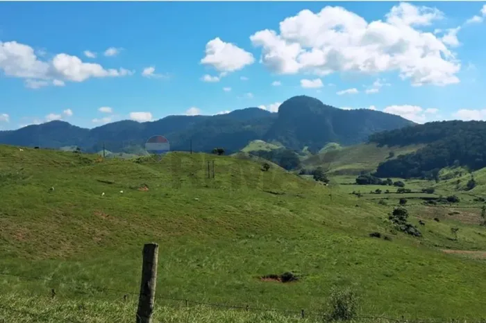 Fazenda com 131 Hectares