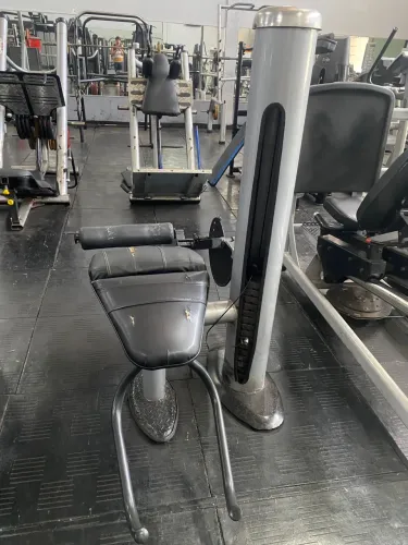 Mesa flexora 