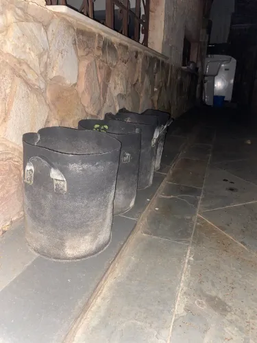 4 vasos de feltro com solo matinho cheiroso