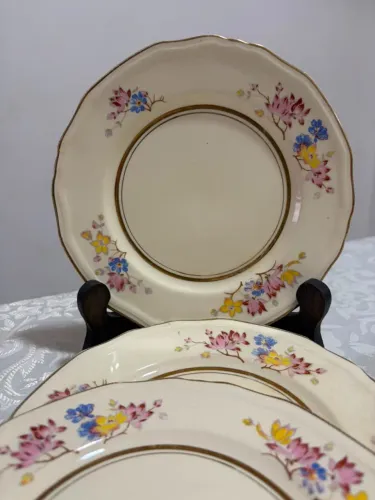Pratos em Porcelana Inglesa 