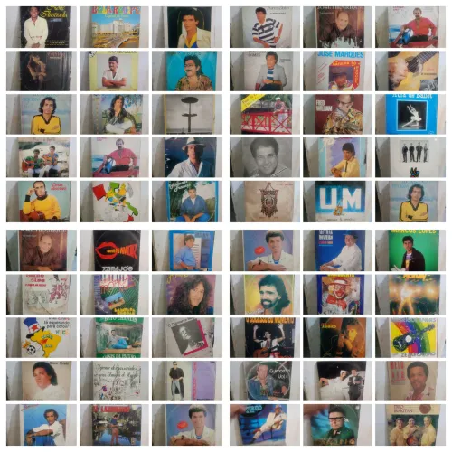 Coleção com 60 Discos de Vinil Autografados/Lp/Música/Forró/Brega