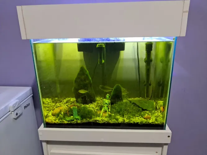 Aquário 50L