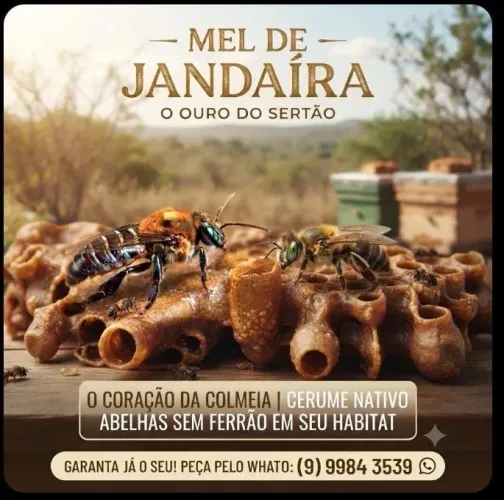 Mel de Jandaira