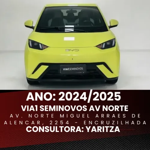 BYD Dolphin Mini (Elétrico) 2024