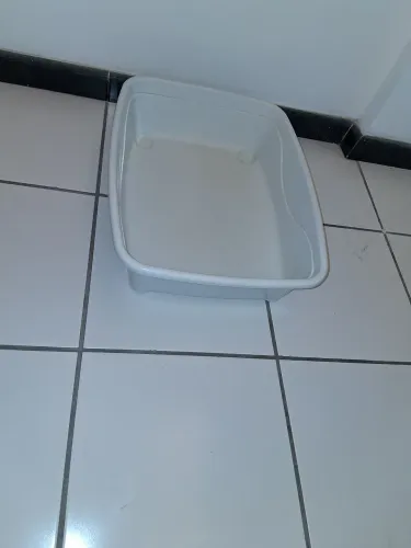 Caixa de areia para gatos