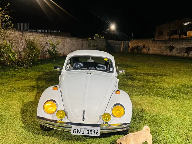 Volkswagen Fusca Fusca (gasolina) 1983