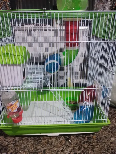Gaiola para hamister 