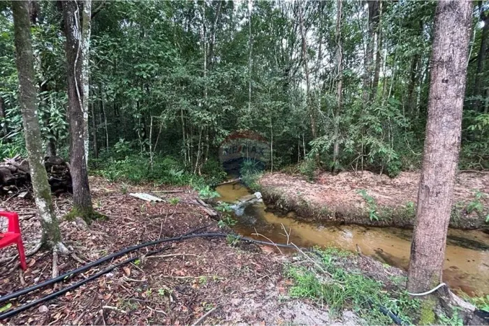 Chácara à Venda | 15.000 m² | Próxima a Araguaína -TO