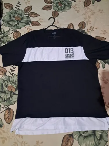 Camiseta Charlie Brown Jr 013