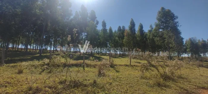terreno - Bonfim - Paulínia