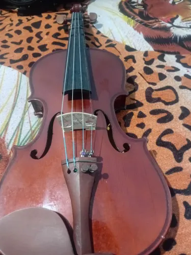 violino