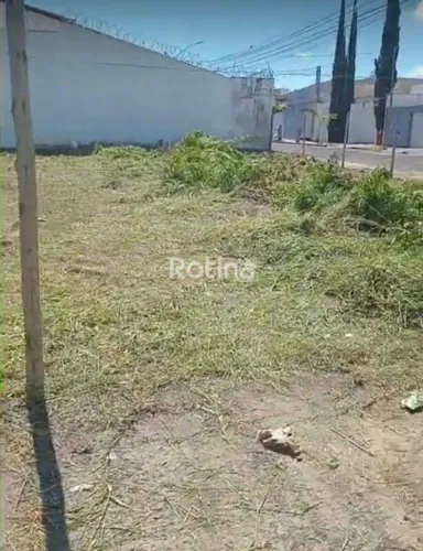 Terreno à venda, Bosque dos Buritis - Uberlândia/MG - Rotina Imobiliária