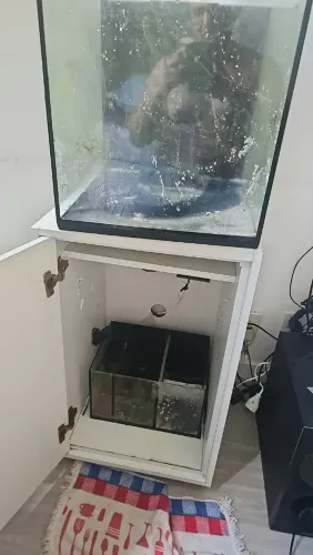 Aquário cubo lapidado 40x40x40 com sump 35x25x20