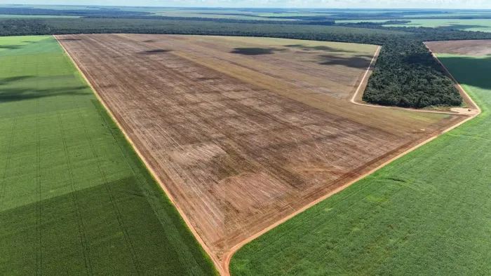 Fazenda de arrendamento Soja, 2.200hec em Vera MT. Argila 25 a 45%