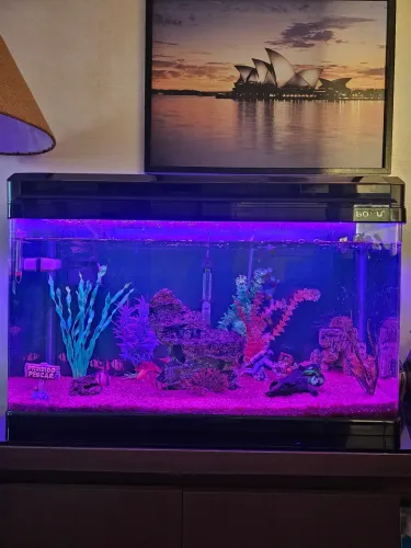 Aquario marca Boyu 100 litros completo 