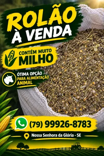 Rolão de milho