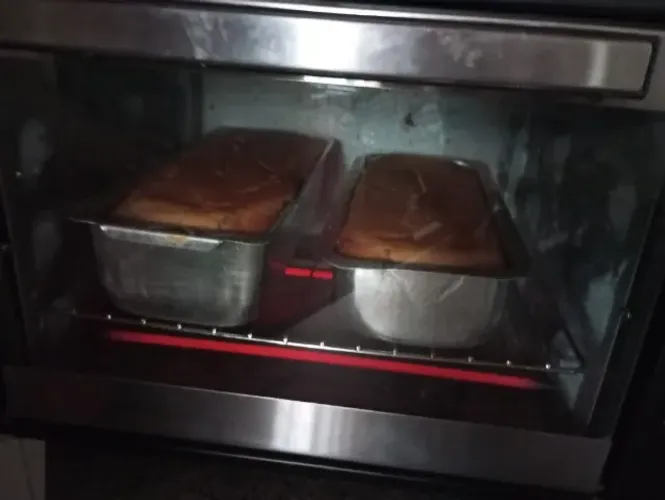 Forno Elétrico Philco 38 Litros Usado Ótimo 127 volts
