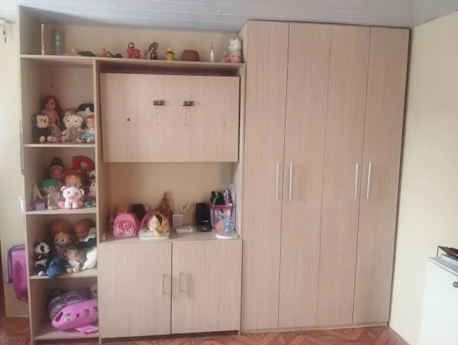 Vendo guarda roupa + estante